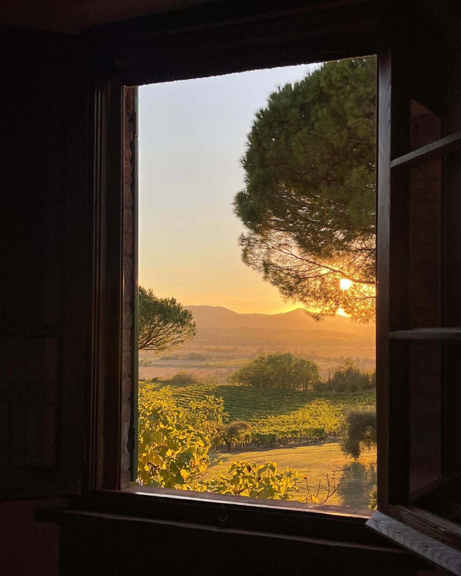 Villa Cozzano Pozzuolo Pokoj fotografie
