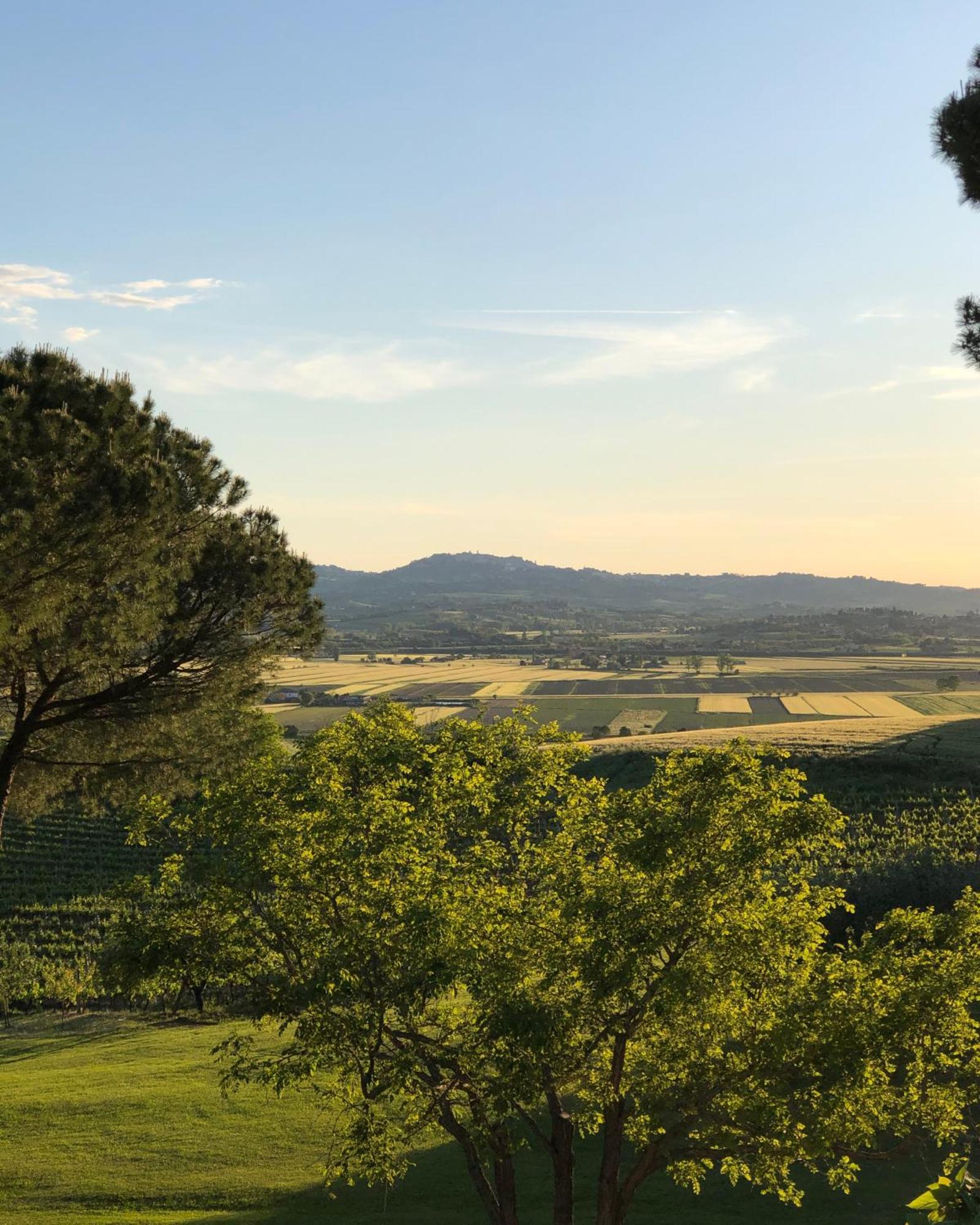 Villa Cozzano Pozzuolo Pokoj fotografie