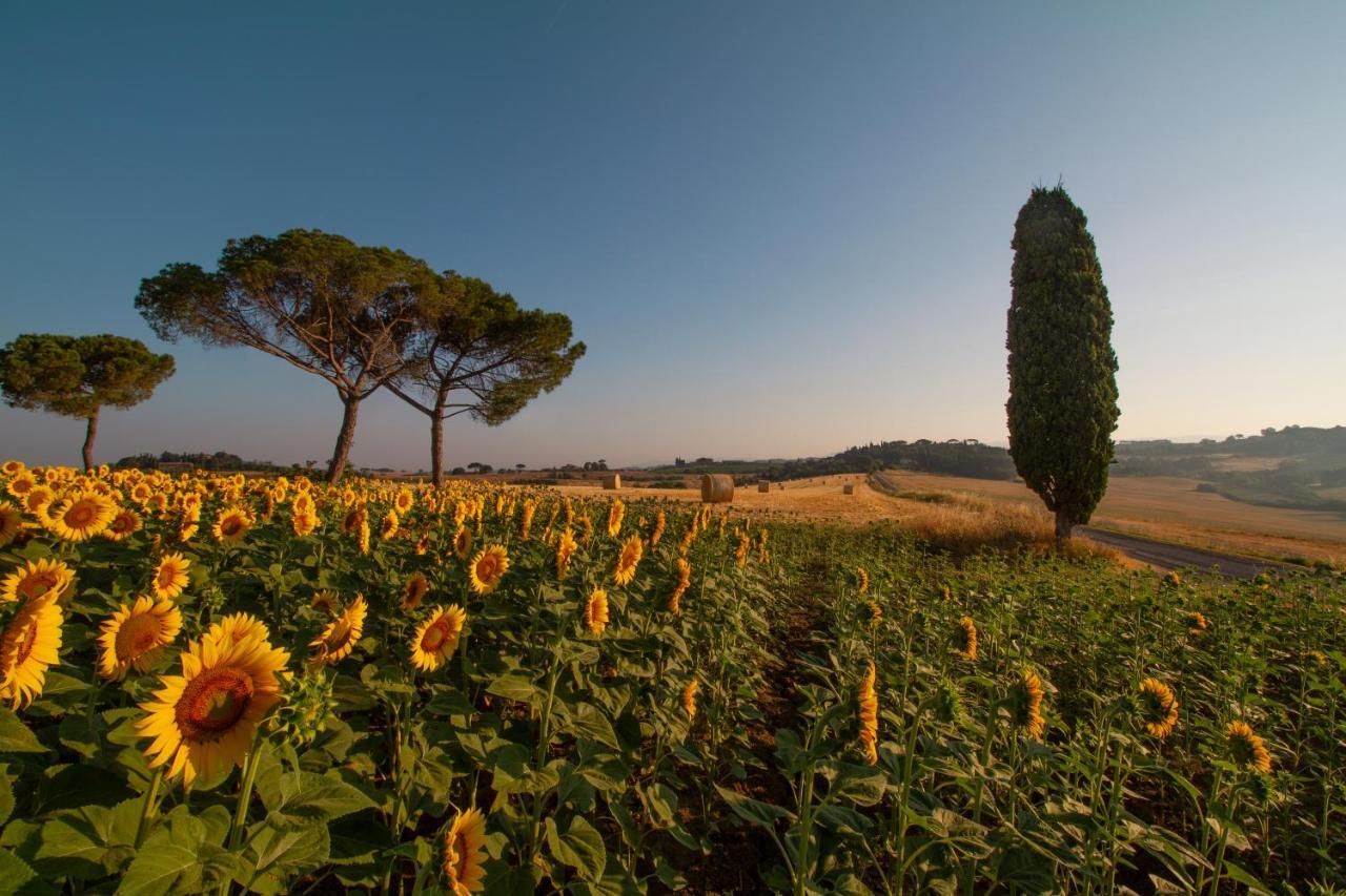 Villa Cozzano Pozzuolo Exteriér fotografie